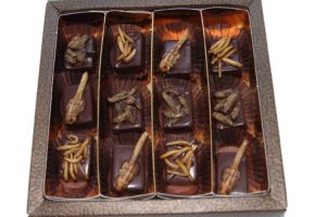 Insekten Package Schokolade Sky Food